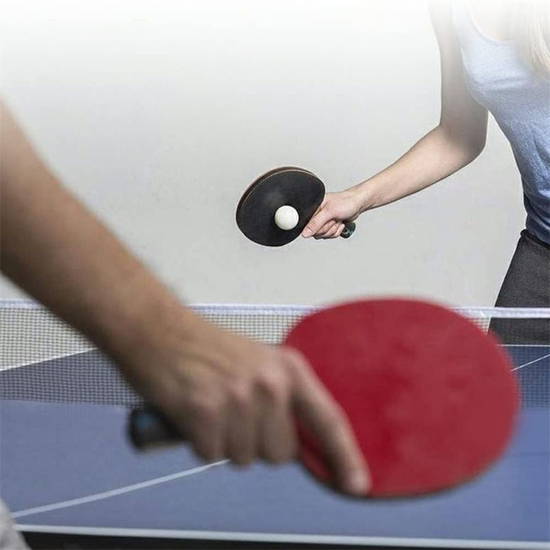Portable Table Tennis Net Poly - Table Tennis Online recension och pris